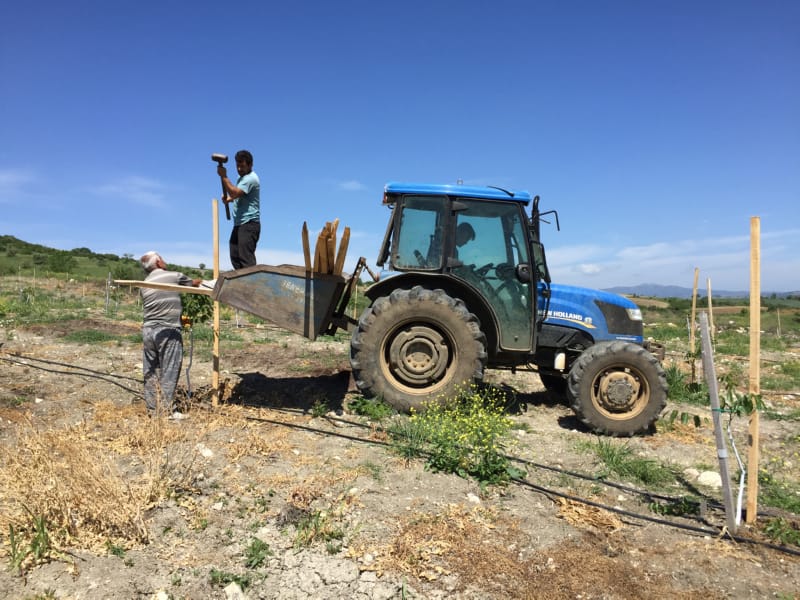 Bahçemizden Kareler